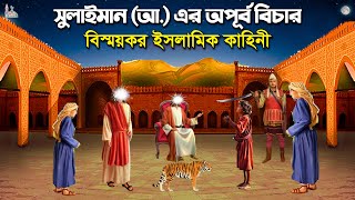 সুলাইমান (আ.) এর অপূর্ব বিচার বিস্ময়কর ইসলামিক কাহিনী Hazrat Sulaiman AS Islamic Story Cartoon Video