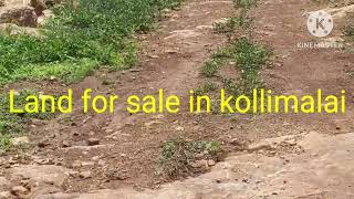 #kollimalai #kollihills #estateforsale #hillstation #landforsale contact 8072660564