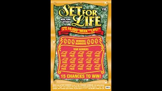 $10 SET FOR LIFE -  Lottery Bengal cat Scratch Off NYS instant win tickets - Did we get a Big Win??