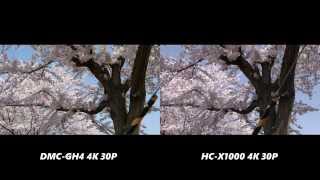 Panasonic HC-X1000 4K vs Panasonic DMC-GH4 4K