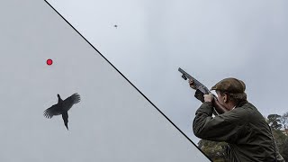 UK Pheasant Shooting | Filmed with ShotKam Gen 3