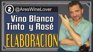 Elaboracion de los Vinos Tranquilos: Tintos, Blancos, Rosé (2/10) Todo Sobre El VIno