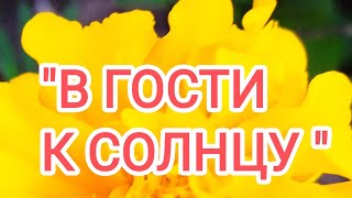 Авторская медитация *В гости к солнцу "