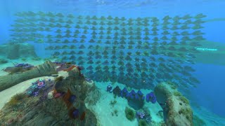 Making A Seamoth Every Day Until Subnautica 2: Day 254