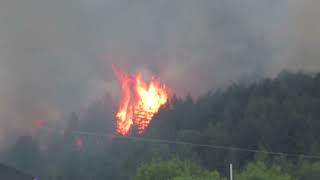 Zajaz, Kërçovë, North Macedonia #wildfire #incendioforestal #пожар  (08.08.2024)