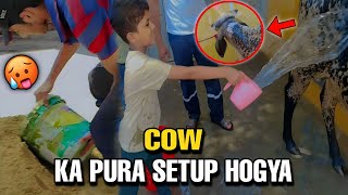 Qurbani Ki Cow Ko Nehla Diya🥰 | Pura Setup Hogya🥵