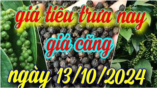 giá tiêu trưa nay ngày 13/10/2024