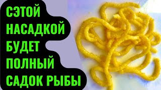 Насадка для рыбалки на КАРАСЯ, ЛЕЩА, КАРПА. Лови много рыбы в любое время года.