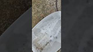 ice