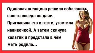 Одинокая женщина решила соблазнить своего соседа. Новые Анекдоты! Свежие Анекдоты! Смешные анекдоты!