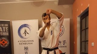 Trening nr 1 - Podstawowe techniki uderzeń: tsuki, uraken | Shihan Artur Wilento 5dan #trenujwdomu