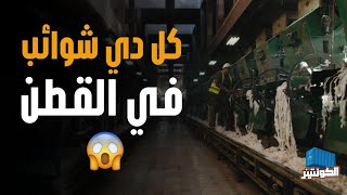 دخول القطن للمصنع مش زي خروجه.. مش هتصدق شكله قبل وبعد ماجيه من المحلج 😮🇪🇬