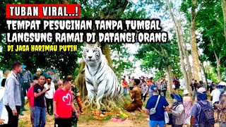 Lagi Viral !! Tempat Pesugihan Tanpa Tumbal,ingin Cepet Sukses.Datang Kesini