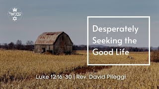 Desperately Seeking the Good Life | Luke 12:16-30 | Rev. David Pileggi