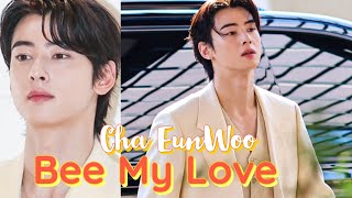 Cha EunWoo "Bee My Love"  Collection 2023