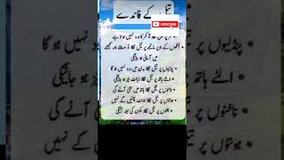 Tail k faidy || 4 |Golden Words In Urdu_ Urdu Quotes |Islamic Information|