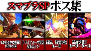 【灯火の星】スマブラSPに登場するボスキャラクター10選！【スマブラSP】【ゆっくり実況】