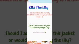 To Guild The Lily| Native English Expression| Easy English|