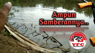 Ngeri Mancing Toman Besar  Ampun Samberanya//gila di samber bro,,