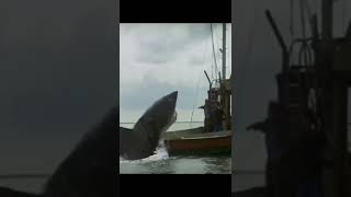 El nombre del tiburón de JAWS