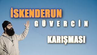 İSKENDERUN GÜVERCİN KARIŞMASI: High Flying Pigeons