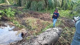 gempa bumi di padang 5,2 jam 8,39 mt terasa sampe dini