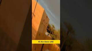 Al Ain UAE #shorts #youtubeshorts #uae #abudhabi #alain