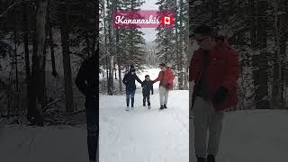 Snowy day at Kananaskis 🇨🇦