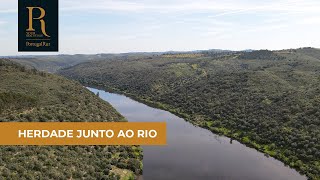 Herdade com 66 hectares para venda em Castelo Branco | REF. FG708