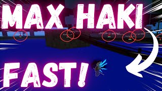 HOW TO EASILY MAX OBSERVATION HAKI AFK! || [Roblox Blox Fruits]