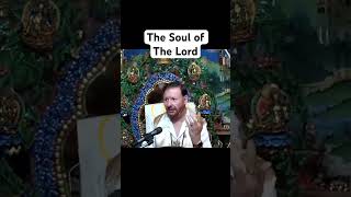 What does Jesus say about God’s Soul?  #shorts #jesus #christian #bible #tribulation