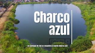 Charco Azul: El Futuro Ecoparque Urbano de Cali