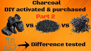 DIY activated charcoal + test VS purchased activated charcoal!