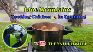 Blue Mountains Series Part 2 | Cooking Chicken in Camping 😲 Katoomba Falls Blue Mountains Australia