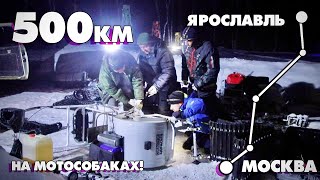 ОПЯТЬ ПРОБЛЕМЫ!? Порвали гусянку... Из Москвы в Ярославль 500км на МОТОСОБАКАХ! Серия 3