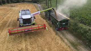 Gerstenernte 2021 / Lexion 650 / So hat der Versuch abgeschnitten