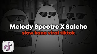 DJ Melody X Saleho Slowed Kane Viral TikTok