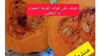 فوائد اليقطين🎃 /صيدلية متكاملة للكثير من الأمراض واعضاء الجسم 🎃🎃