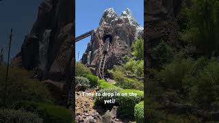 Time to drop in on the yeti! #wdw #disney #expeditioneverest #yeti #animalkingdom