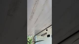 Venture RV awning, cleaning mildew, removal ￼