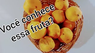 suco de fruta araçá boi