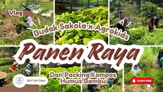 KESERUAN PANEN RAYA PEMBELI MEMETIK DARI KEBUN SENDIRI‼️ || Budak Sakola x Agrokids SDIT Alif