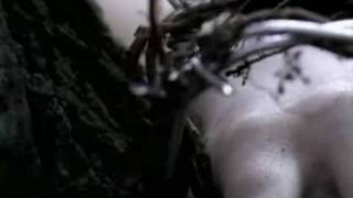 Carcass - No Love Lost