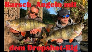 Barsch Angeln mit dem Dropshot Rig #Dropshot #Dickbarsch #Pintail