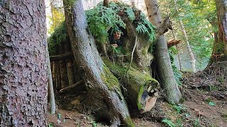 Building Warm Bushcraft Survival Shelter in the Forest, Fireplace, Catch and Cook, Solo Camping