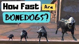 Kenshi | How Fast are Bonedogs?