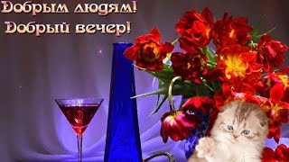 Добрый вечер ! Добрым людям ! Песня добрый вечер ! Good evening !