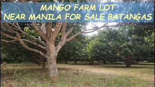 #93 HOLD - MANGO FARM LOT for Sale in Batangas Philippines