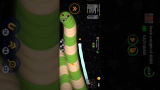 worms zone 🐍 Giant snake vs Dwarf snake I #shorts #116 I big food snake I #wormszone #wormszoneio 😎