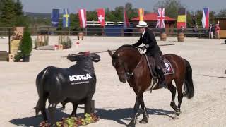 Speed Test (2nd part) – European Championship Working Equitation – Obořiště (CZE) 21. 9. 2024